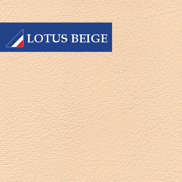 Lotus Elan Series 1 & 2 Door Panel Trim