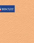 MKI & II MINI SALOON & TRAVELLER FRONT DOOR FILLET PANELS - 1 PAIR