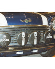 LUCAS LION 6" LAMP COVER