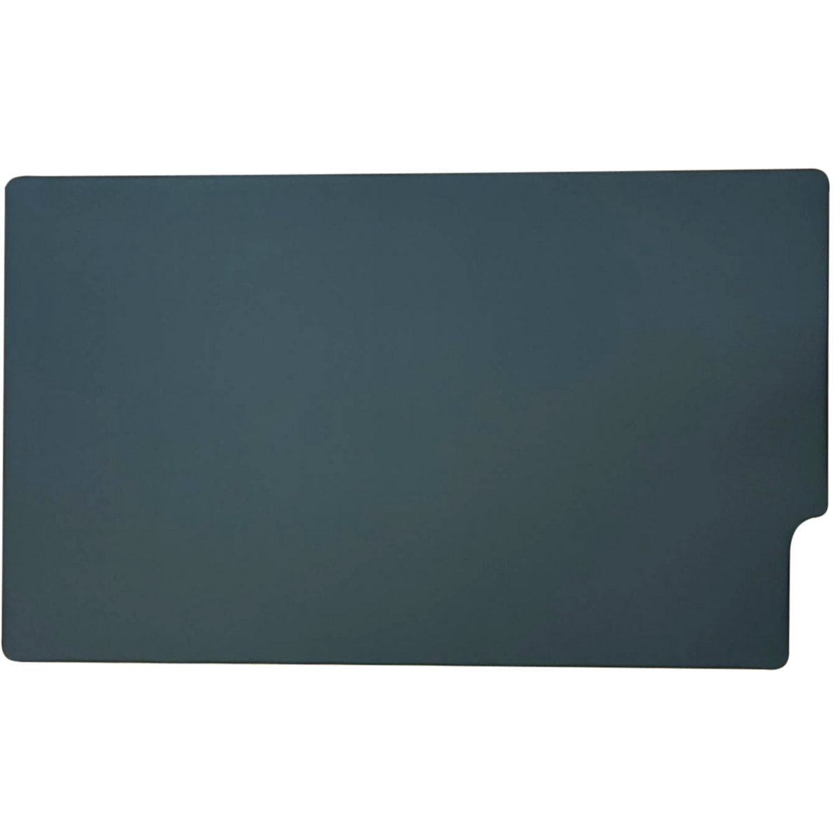 T5 &amp; T6 RIGHT HAND OPPOSITE SLIDING DOOR PANEL